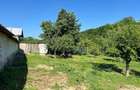 Casa Sat Scurta Bacau - 6