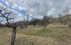 Teren intravilan + extravilan 9844 mp, Malu cu Flori, jud Dambovi?a - 5