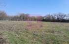 IALOMITA - SE VINDE TEREN 2000 MP (40M DESCHIDERE) - SAT CHIROIU - 14
