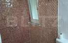 Casa de vanzare, 15 arii de teren, zona Dumitra - 2