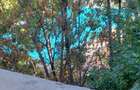 Apartament 2 camere, sector 4 - 6