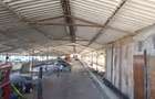 Vand sau inchiriez teren+hala 3200mp aproape de strada Focsani (Chercea)pret 155000 - 7