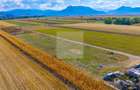 Teren 460 mp în Tărlungeni–Carpinis | Posibilitate extindere la 920 mp