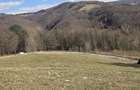 Vand teren pentru cabane - 3