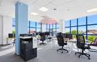 Proprietate comerciala multifunctionala | 611 mp | Curte 474 mp - 16