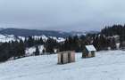 Teren extravilan de vanzare in Bucovina Breaza zona Paraul Negrei - 1