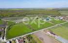 Black Angus Farm with authorized Slaughterhouse - 8