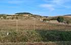 Teren de 2000 mp, în Petelea - 4