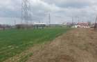 Vand parcele , teren intravilan , stradal, cu toate utilitatile - 2