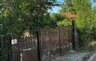 Casă cu 3 camere în Naipu - 5