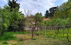 Casa de vanzare in Cuvin com. Ghioroc jud Arad - 1