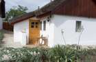 Delta Dunarii, Romania, localitatea LETEA, proprietate de VIS, - 1