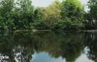 Domeniu cu Lac,Izvoare naturale ?i Insula,Giurgiu,Vanatorii Mici,6,3HA - 9