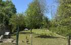 Poiana Campina - casa - teren 700mp - 89000 Euro - 1