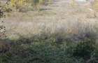 Vand teren 7550 mp MEHADIA