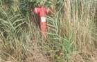 Teren intravilan la balta Odoreu, Satu Mare - 2