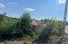 casa cu 1700 mp de teren in Bogdanesti - 1