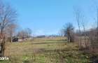Teren intravilan 6500 mp- Gliganu de Sus - Rociu - 2