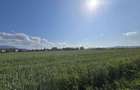 Teren intravilan in Cristian/ Bra?ov 640mp