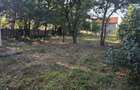 Vand casa caramida pe colt in Satchinez - 10