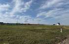 Teren intravilan 700 mp Paleu | PUZ aprobat - 8