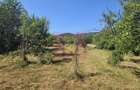 Teren intravilan de vanzare 3375 mp in Brebu