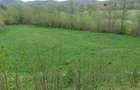 Teren intravilan agricol