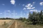 Teren 6291 mp, extravilan, zona Leamna de jos - 4