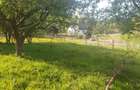Casa de vanzare cu 3.300 mp teren in centrul satului Deia Potential Agroturistic / Homestead / Casa de Vacanta - 5