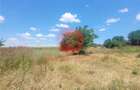 Teren Intravilan Cumpana 400 mp Zona Excelenta cu Strada Asfaltata, langa Utilitati - 3