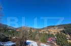 Teren 2 ha, cu padure proprie si panorama spre munti, Arieseni - 3