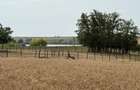 Teren intravilan Miersig, vedere la lac. 12,5 E/mp neg. Comision 0 - Miersig (Bihor) - 13
