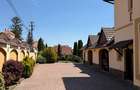 Casa de vanzare in Saliste, judetul Sibiu - proprietate spatioasa,la cheie - 4