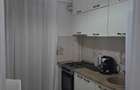 Proprietar inchiriez apartament cu o camera Lunca Cetatuii, cartier Visoianu - 1