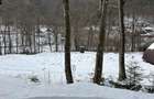 Teren munte, Brates- Tarcau- Piatra Neamt, teren cu o cabanuta - 8