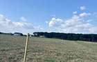 Lot teren intravilan Ciolpani - padurea Snagov - 2