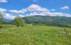 teren de vanzare Slatina ,Comuna Nucsoara - 2