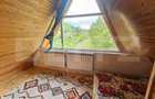 Cabana autentica cu 4565 mp teren, Liniste si Confort, Avram Iancu - 8