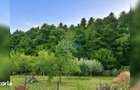 Casa P+M cu teren de 1.000 mp, situata la marginea padurii - 3