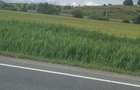 Teren de vanzare in huedin - 1