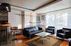 Apartament 2 camere la intrarea in parc, Baneasa