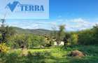 Camin sau refugiu ? Alegerea iti apartine