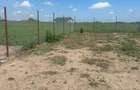Teren de INCHIRIAT - Ideal pentru agricultura, livada, agrement sau camping! - 10