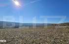 Teren extravilan, 17.000 mp, zona Almasu Mic - 1