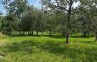 Teren de 1500 mp, în Gemenea-Brătulești - 3