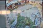 Spatiu industrial, hale productie lemn masiv. Teren - 7300 mp