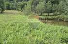Teren de vis de 2.800 mp pe Valea Tarcaului Cu lac natural ?i padure