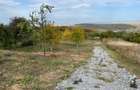 Teren intravilan, sat Gheorghieni, Principala 72, 3744 mp, front 28,70 - 5