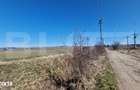 Teren intravilan, 29.000mp, front 102mp, utilitati in zona, Jucu de Su - 3