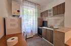 Apartament cu 1 cameră, 50 mp, parcare, zona Oașului - Iris - 4